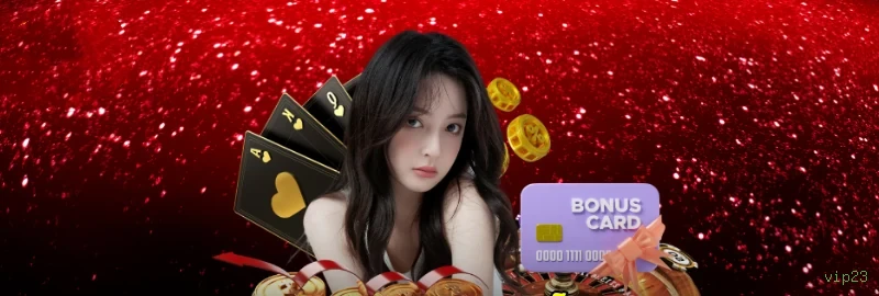 Central de dúvidas rápidas sobre o app vip23